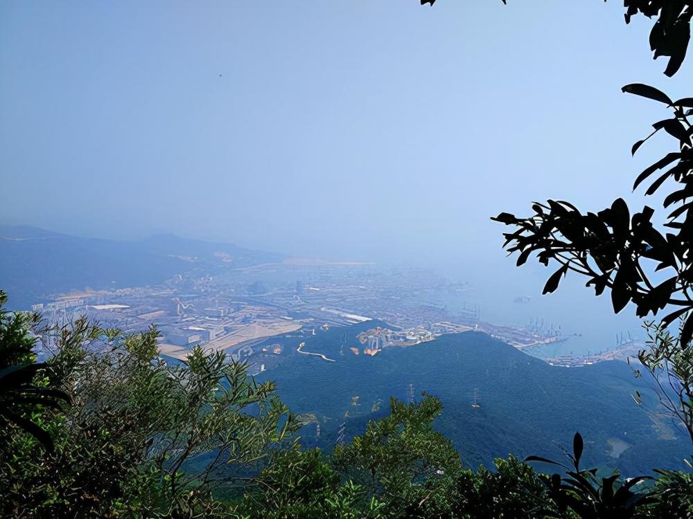 探访世界最古老的动植物园，领略自然奇景的魅力