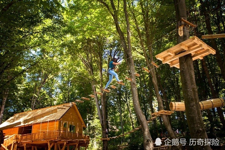 丛林探险揭秘，世界最神秘森林的奇幻之旅