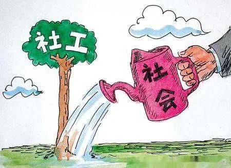 自然灾害中的文化适应与社会回应策略探究