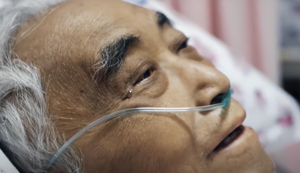 节食期间的饮食调整策略，避免身体疲劳的秘诀
