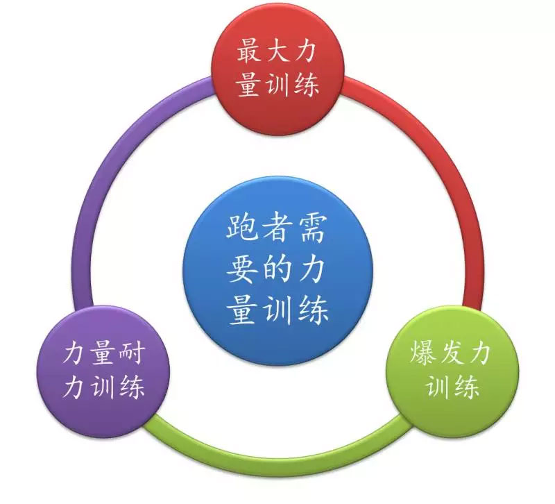 增强力量训练，改善骨密度的关键之道