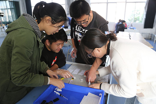 实践课程对学生实际操作能力的提升有显著影响