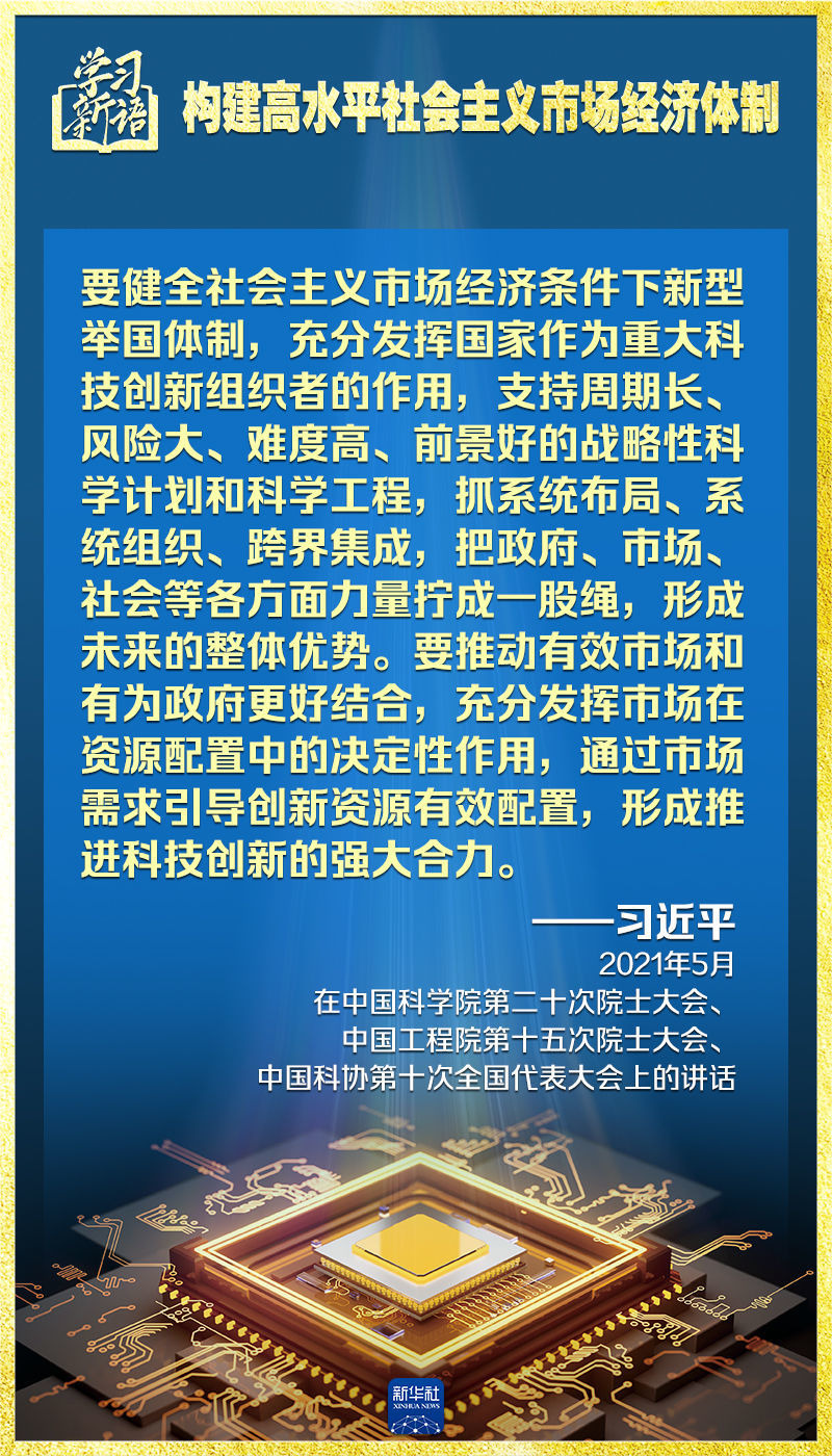 伦理道德在社会经济决策中的核心地位