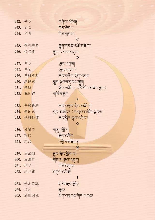 少数民族语言保护与文化的根基与未来希望，文化多样性的传承与发展