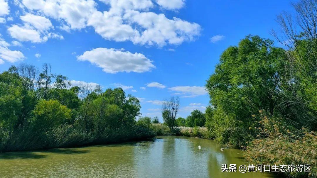 生态旅游中的文化传播与社会参与，互动与影响