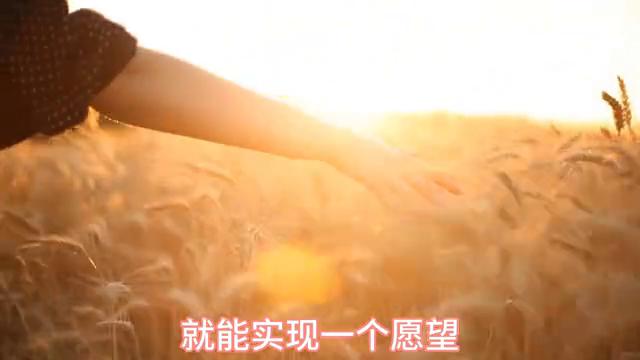 大众文化中的情感表达与社会互动探析