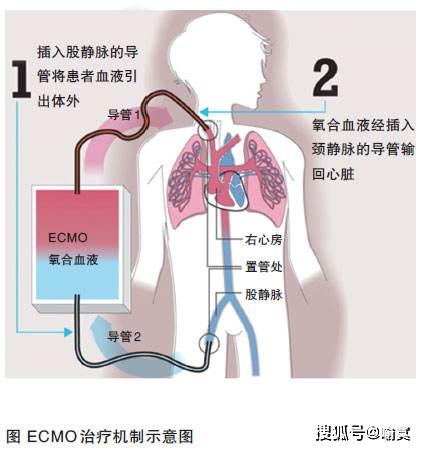 深呼吸几分钟，肺部健康秘诀揭晓！