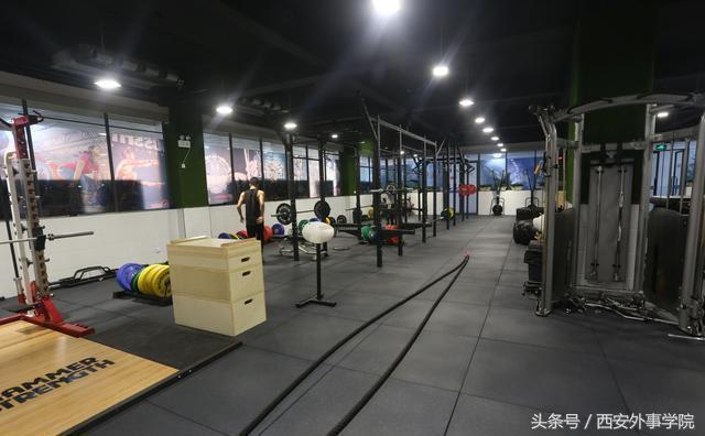 规律运动，开启健康体态与旺盛体力的黄金钥匙