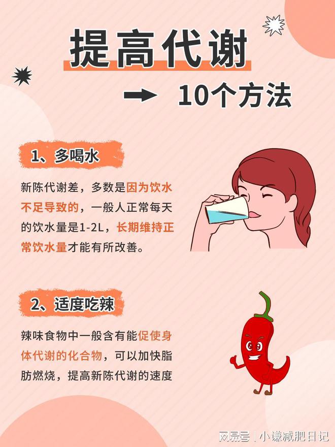 日常充足水分摄入，促进新陈代谢与排毒的重要性