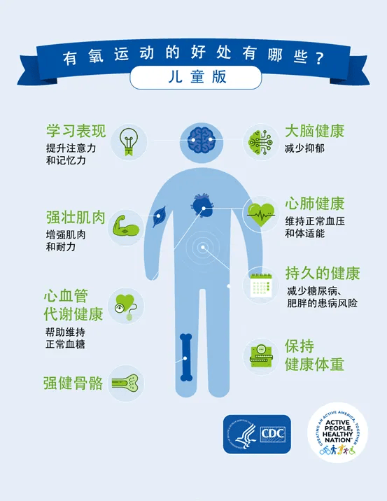 适量有氧运动，增强心肺健康的黄金法则