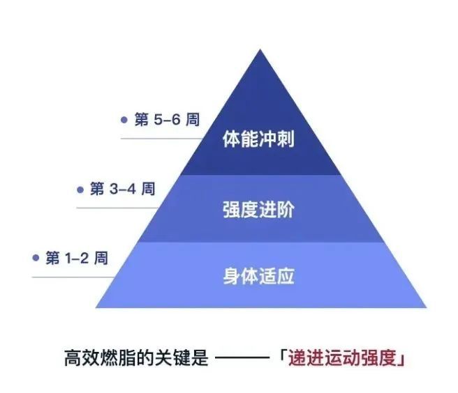 每日30分钟运动，整体健康的秘诀之道