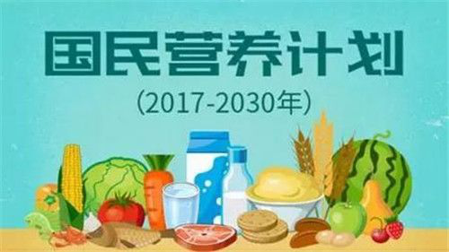 智慧之路，低卡饮食助你维持健康体重与能量平衡