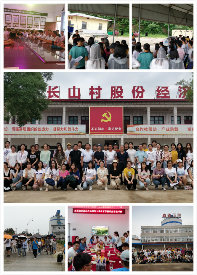 实习与社会实践助力学生拓宽职业视野