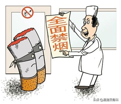 户外运动对骨密度长期增强的深远影响