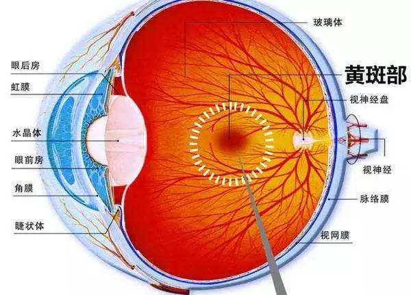 限制屏幕时间保护眼部健康的重要性