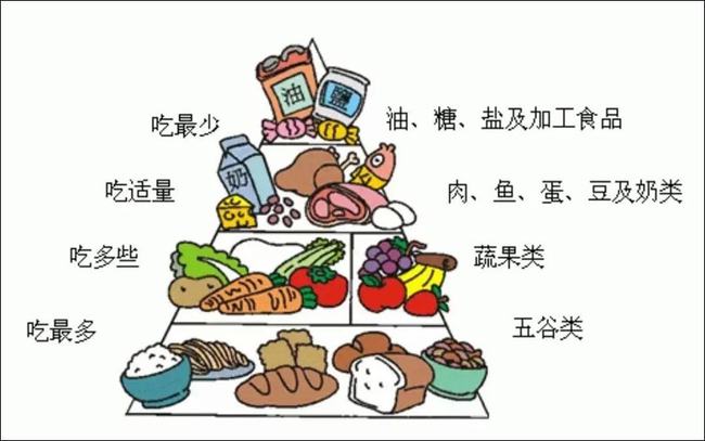 低脂饮食，双重助力维持体重与健康