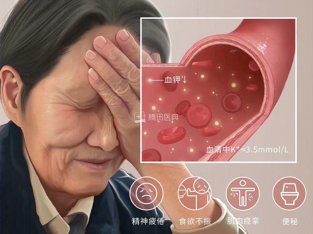 每日蛋白质定量摄入对肌肉维持的关键作用