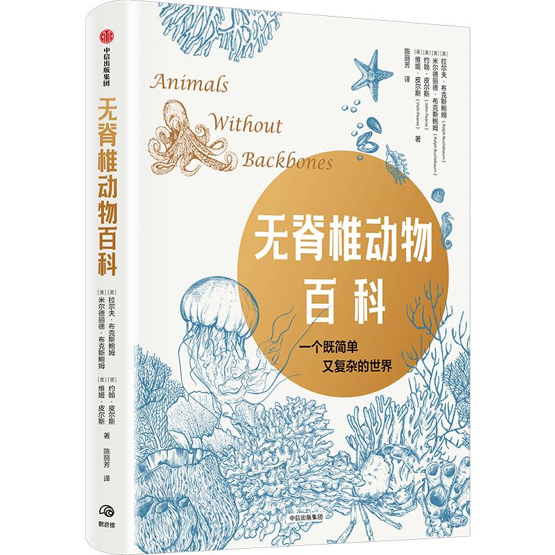 音乐与数学思维，探究内在关联性