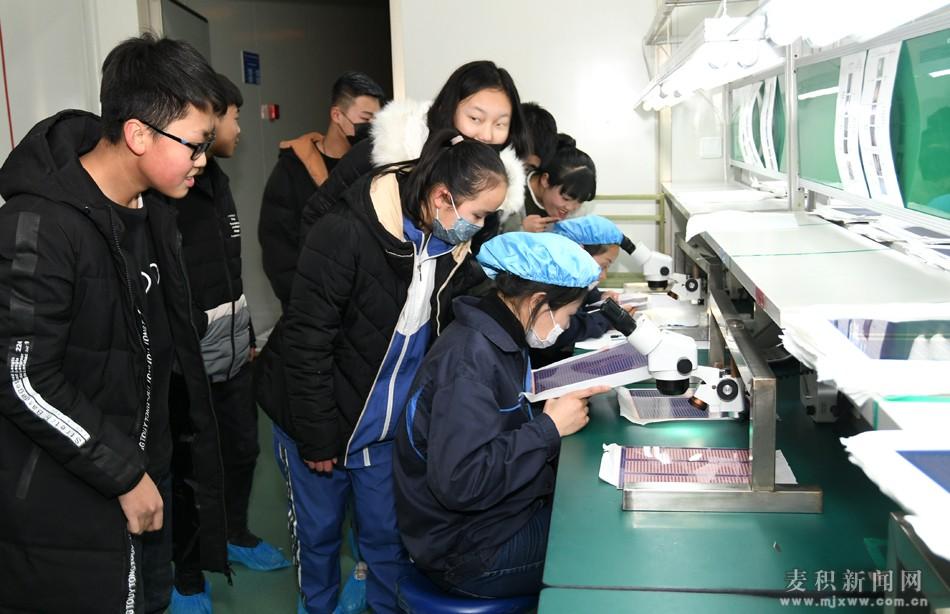科技教育，塑造学生未来职业规划的关键力量影响探讨