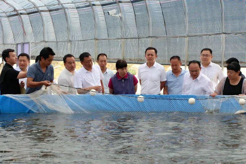 哈尼梯田民居，地域融合与生活智慧的体现