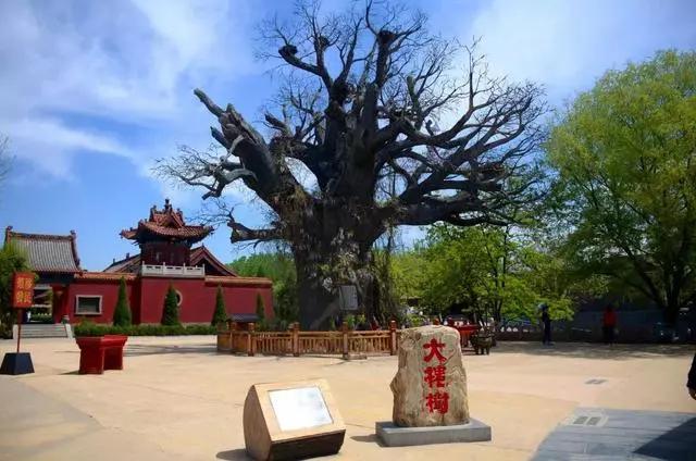 地名命名背后的地域特征与文化渊源深度剖析
