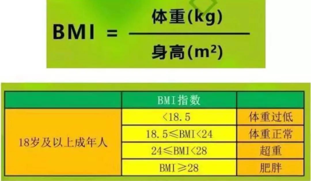 健康体重与长期身体机能平衡的研究探索