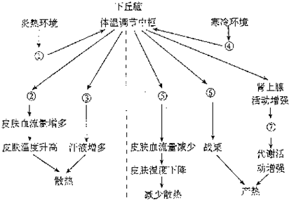 自然环境运动，心理与生理的双重调节之道