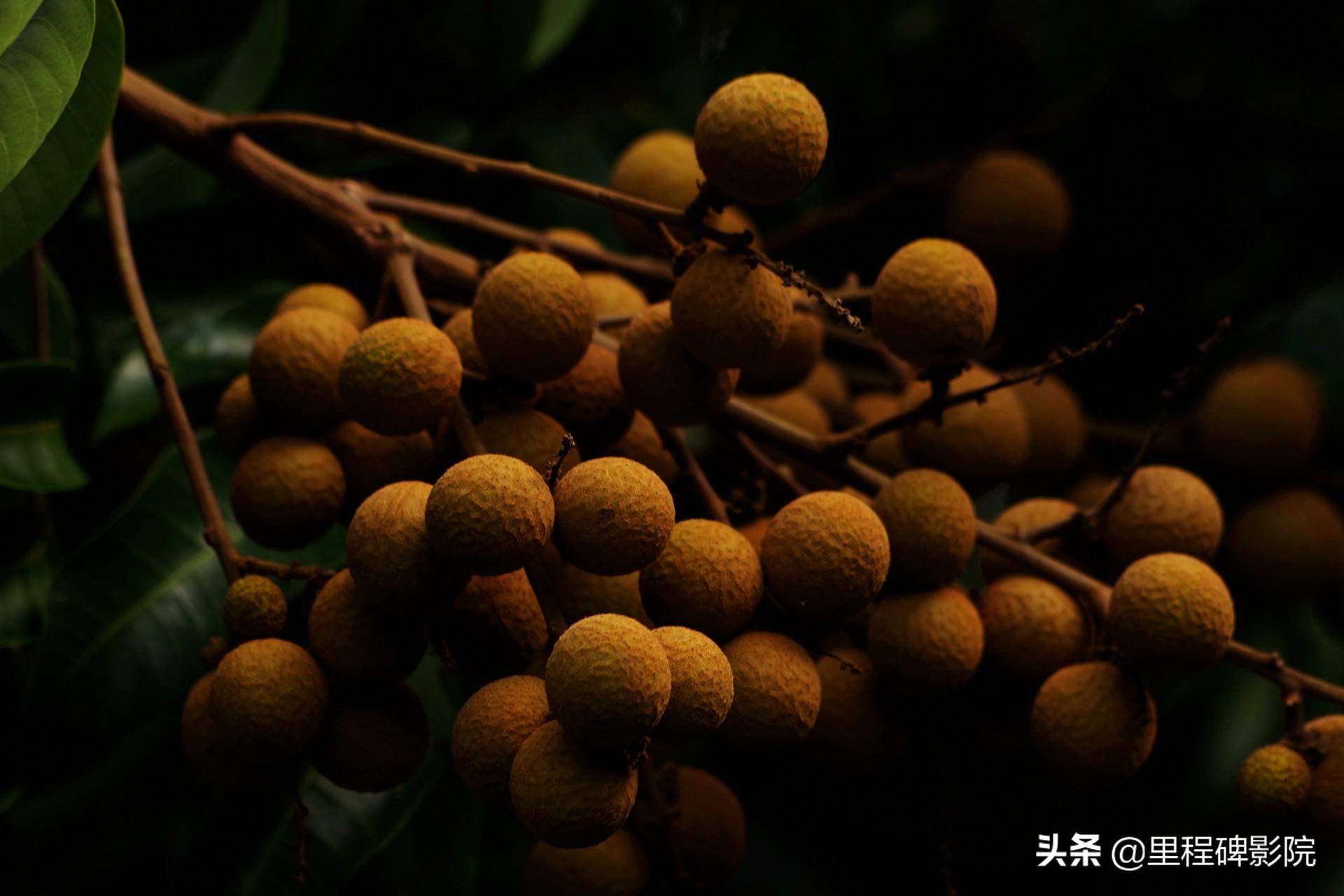 家庭影院体验升级，家具选购与布置技巧全攻略